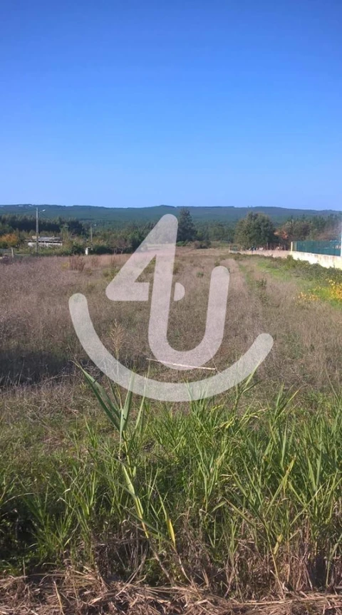Terreno Agricola ou Rústico para Venda em Valado dos Frades