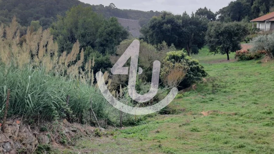 Terreno para Venda em Alcobaça e Vestiaria
