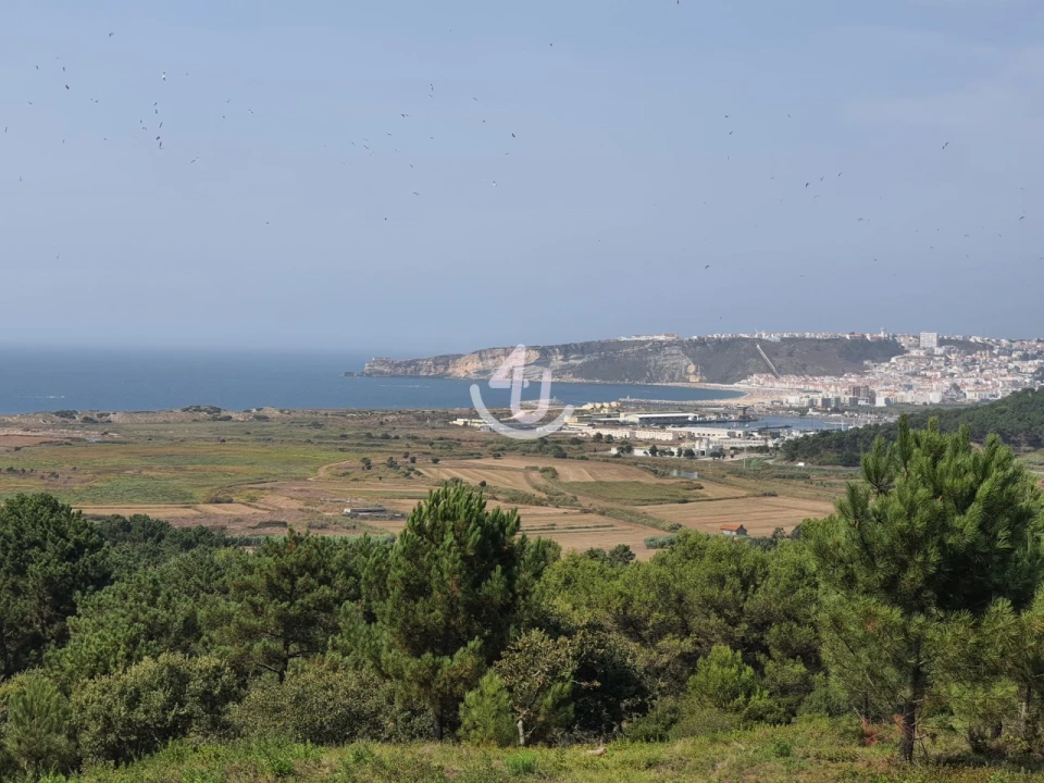 Terreno para Venda em Famalicão Foto 1