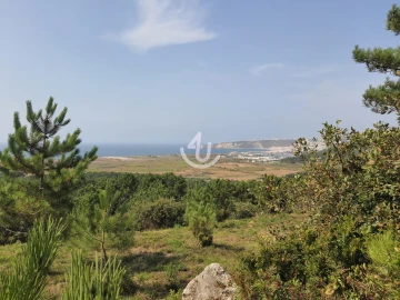 Terreno para Venda em Famalicão