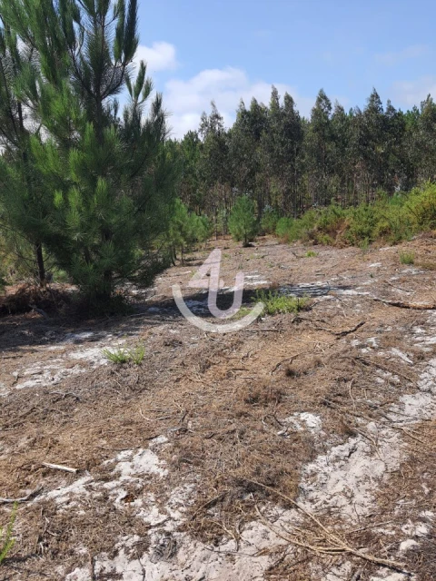 Terreno para Venda em Nazare