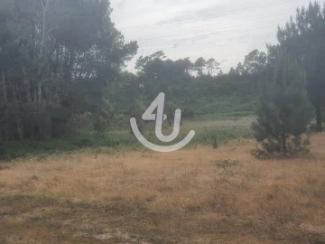 Terreno para Venda em Nazare
