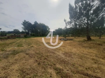 Terreno para Venda em Nazare
