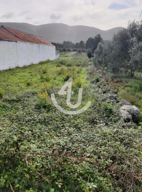 Terreno para Venda em Aljubarrota