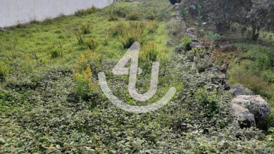 Terreno para Venda em Aljubarrota