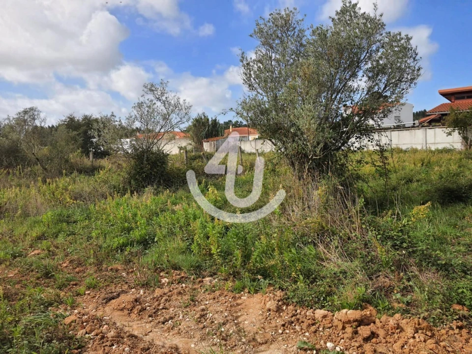 Terreno para Venda em Aljubarrota Foto 1
