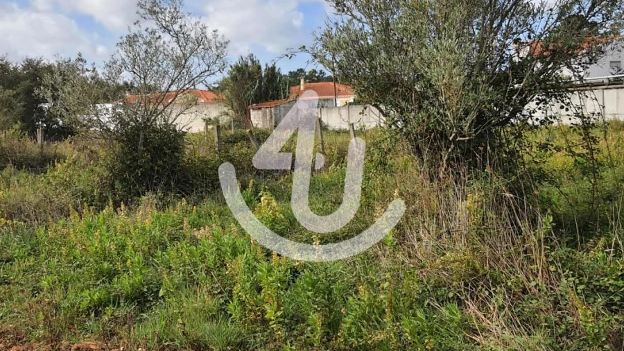 Terreno para Venda em Aljubarrota