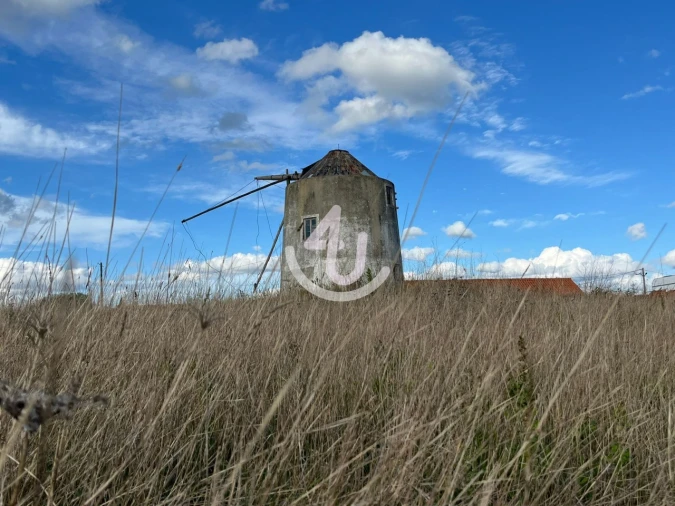 Quinta para Venda em Vimeiro Foto 12