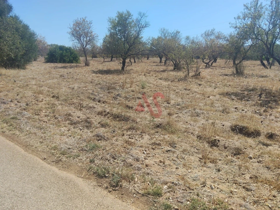 Terreno Agricola ou Rústico para Venda em Guia Foto 6