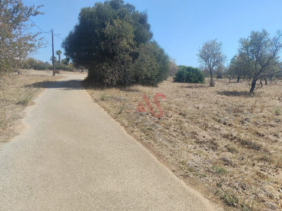 Terreno Agricola ou Rústico para Venda em Guia Foto 2
