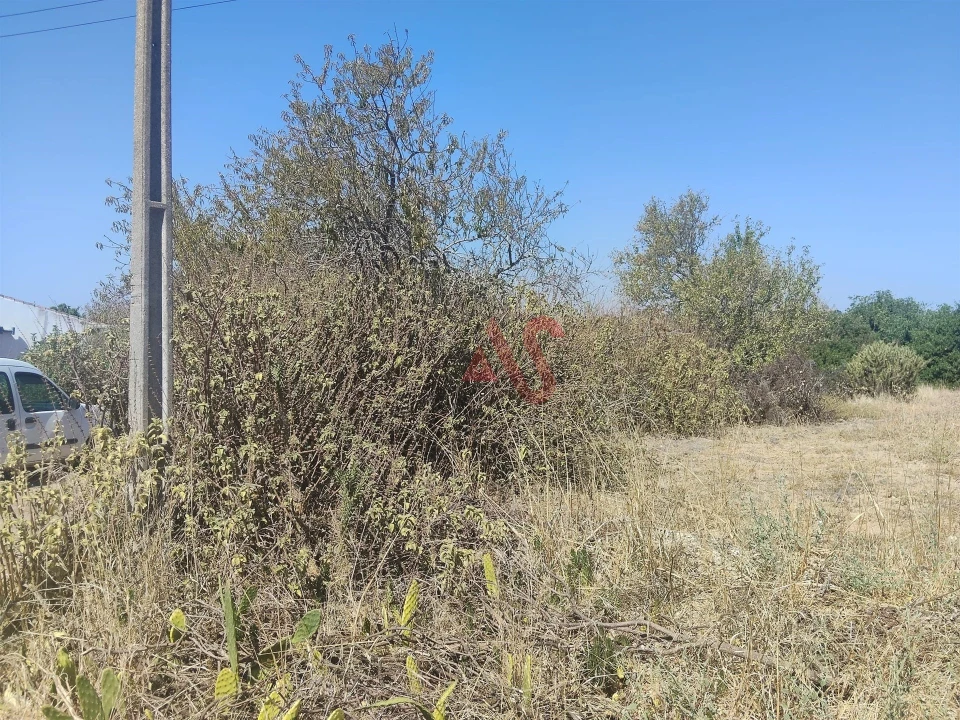 Terreno Agricola ou Rústico para Venda em Guia Foto 7