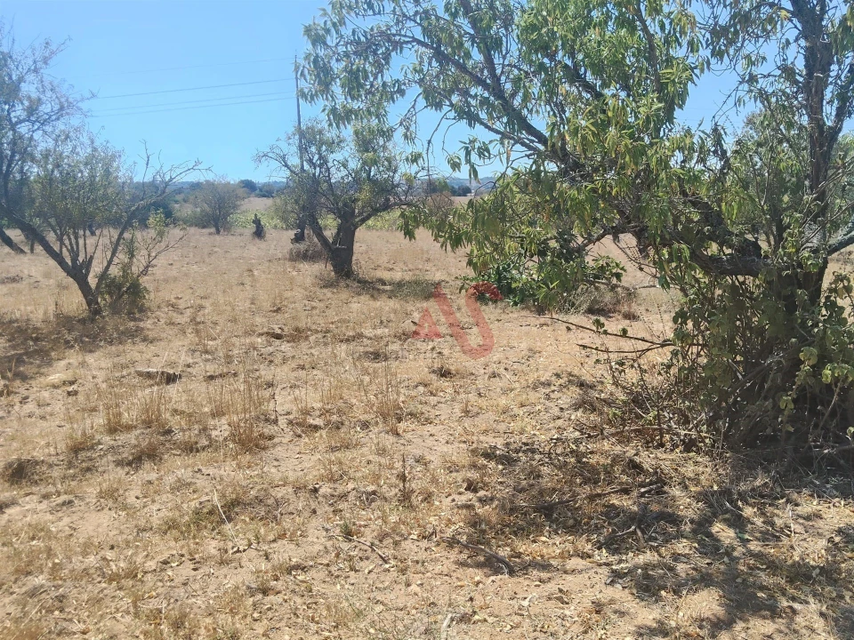 Terreno Agricola ou Rústico para Venda em Guia Foto 3