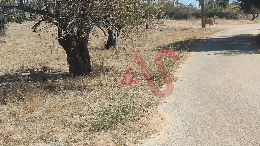 Terreno Agricola ou Rústico para Venda em Guia