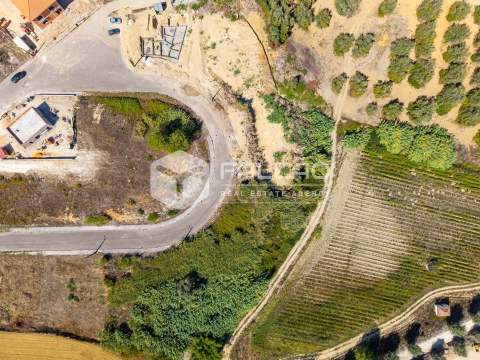 Terreno para Venda em Marvila, Ribeira Santarém, São Salvador, São Nicolau Foto 6