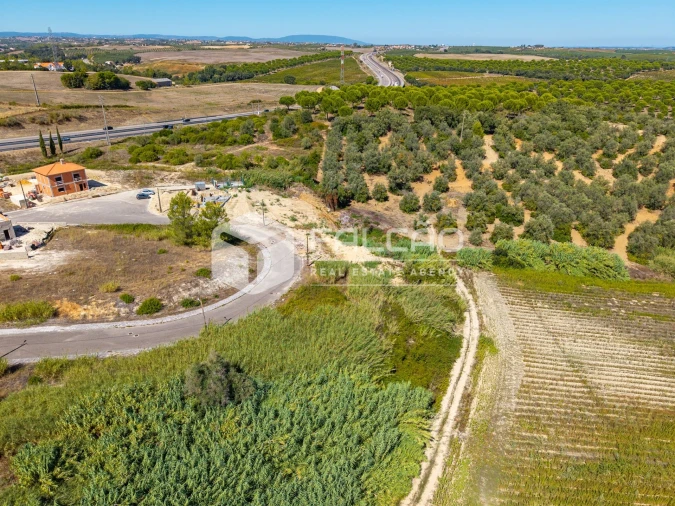 Terreno para Venda em Marvila, Ribeira Santarém, São Salvador, São Nicolau Foto 8