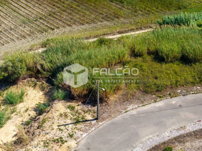 Terreno para Venda em Marvila, Ribeira Santarém, São Salvador, São Nicolau Foto 19