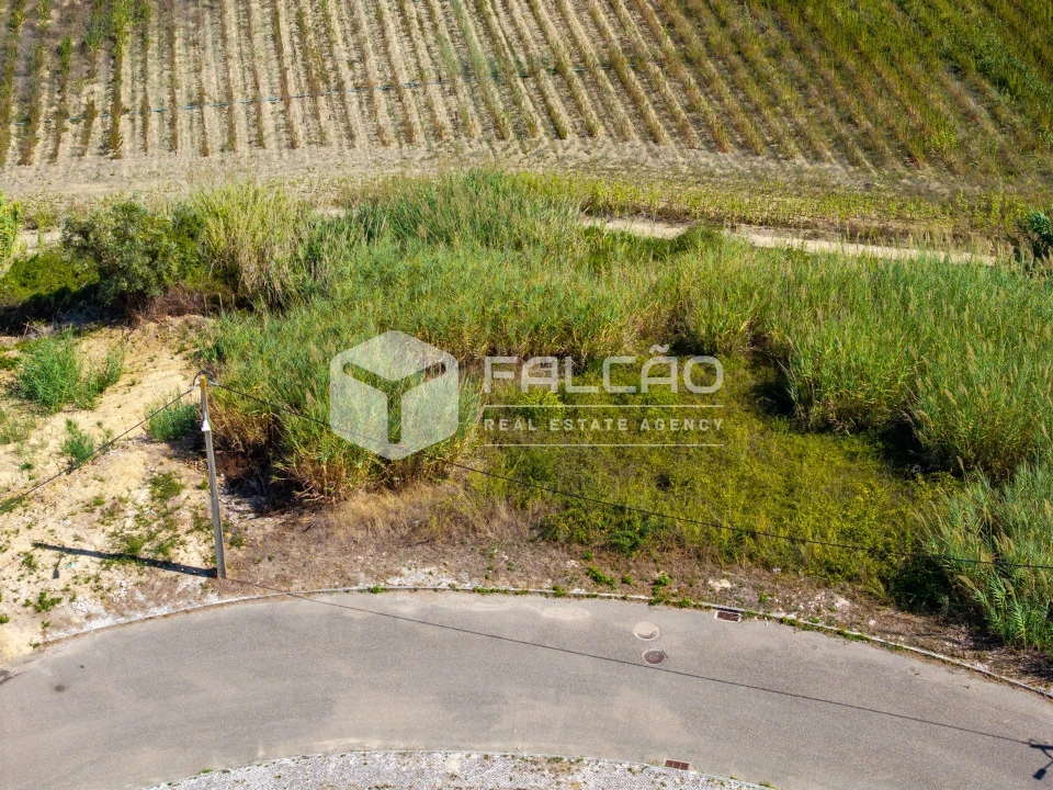 Terreno para Venda em Marvila, Ribeira Santarém, São Salvador, São Nicolau Foto 21