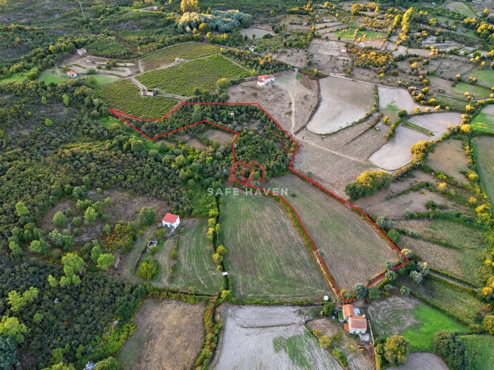 Terreno Agricola ou Rústico para Venda em Tavares (Chãs, Várzea e Travanca) Foto 2