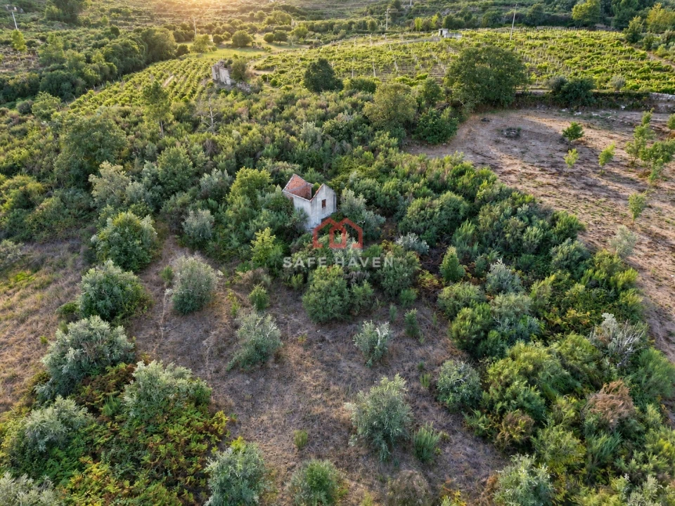 Terreno Agricola ou Rústico para Venda em Tavares (Chãs, Várzea e Travanca) Foto 3