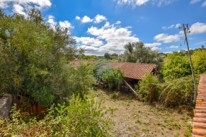 Quinta T2 para Venda em Torres Novas (Santa Maria, Salvador e Santiago)