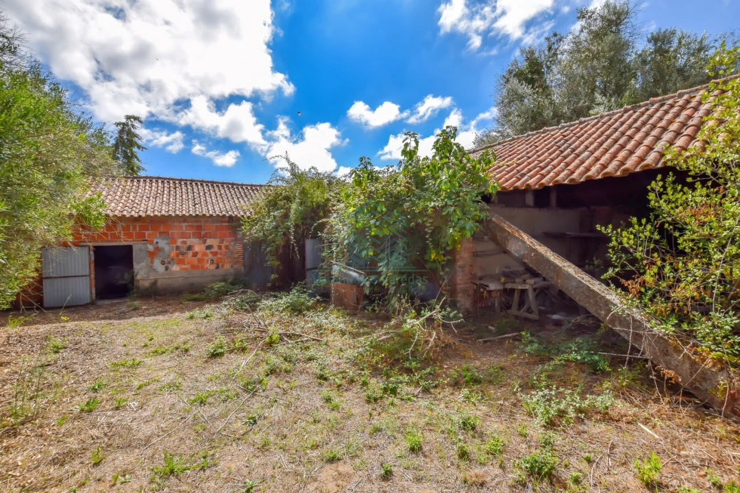 Quinta T2 para Venda em Torres Novas (Santa Maria, Salvador e Santiago) Foto 22