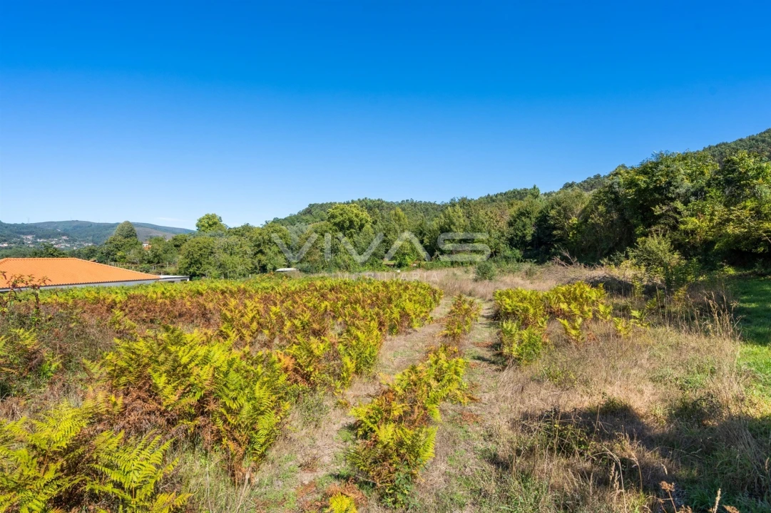 Terreno para Venda em Ribeira do Neiva Foto 18