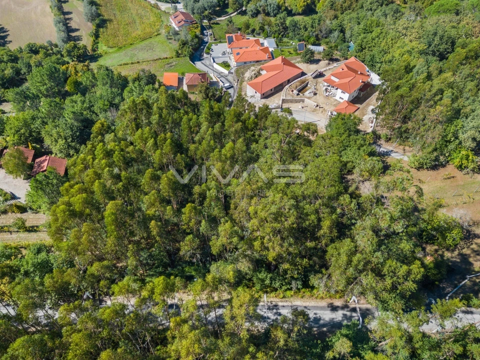 Terreno para Venda em Ribeira do Neiva Foto 5