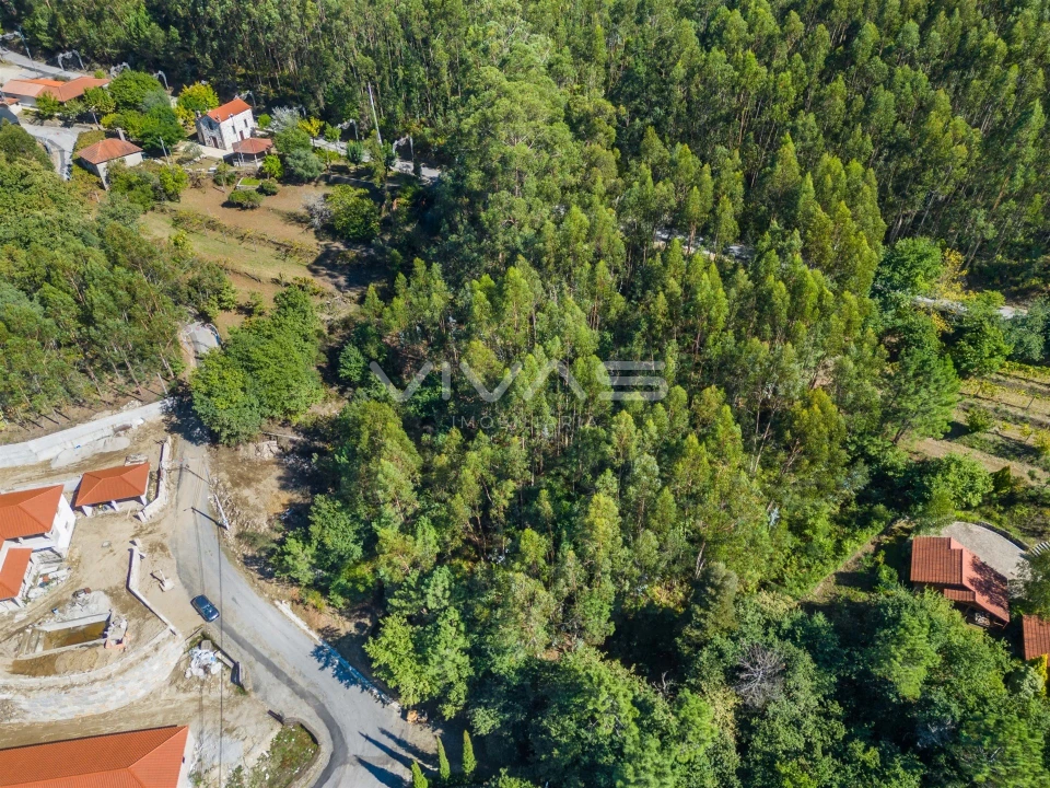 Terreno para Venda em Ribeira do Neiva Foto 10