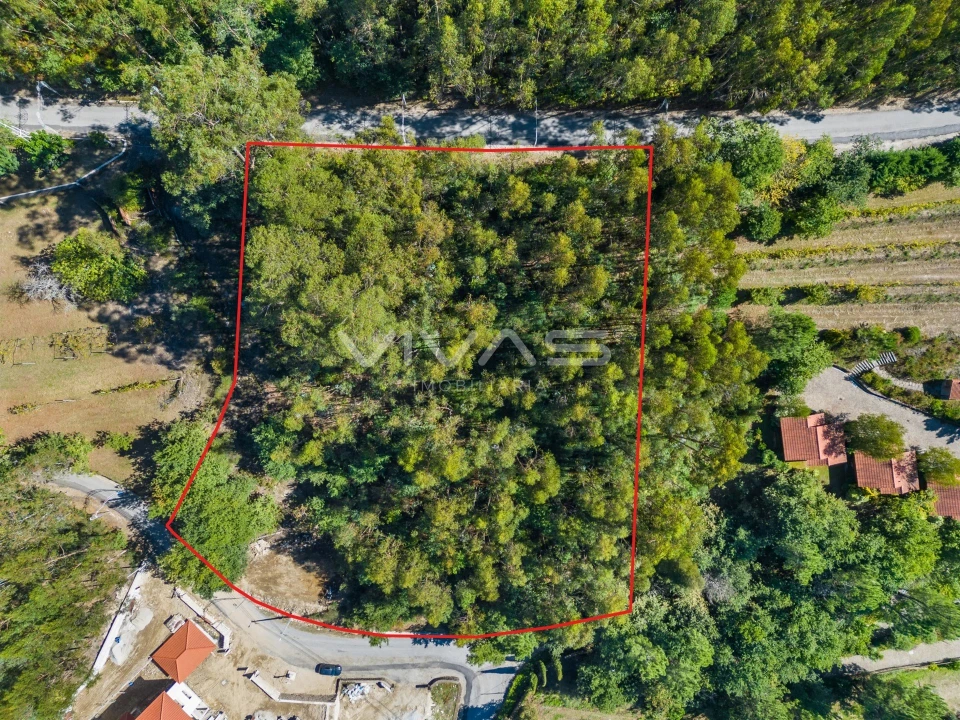 Terreno para Venda em Ribeira do Neiva Foto 4