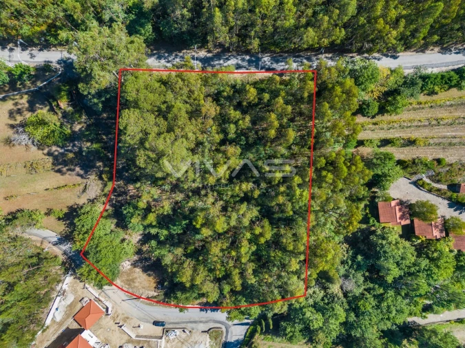 Terreno para Venda em Ribeira do Neiva Foto 4