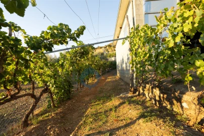 Quinta T1 para Venda em Eucisia, Gouveia e Valverde
