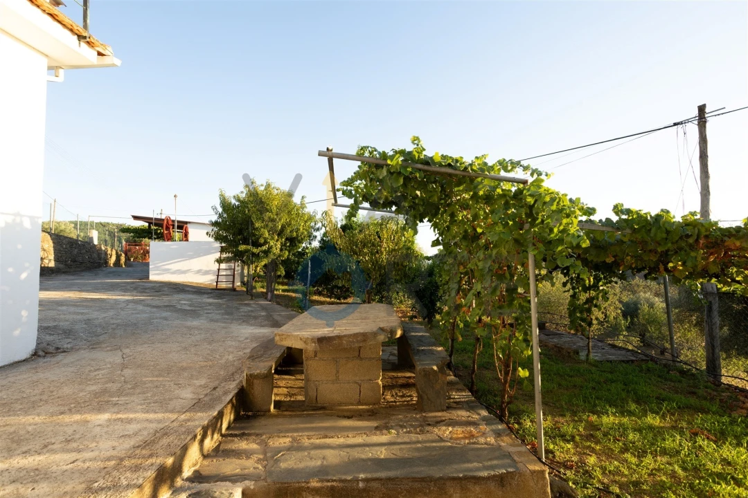 Quinta T1 para Venda em Eucisia, Gouveia e Valverde Foto 15