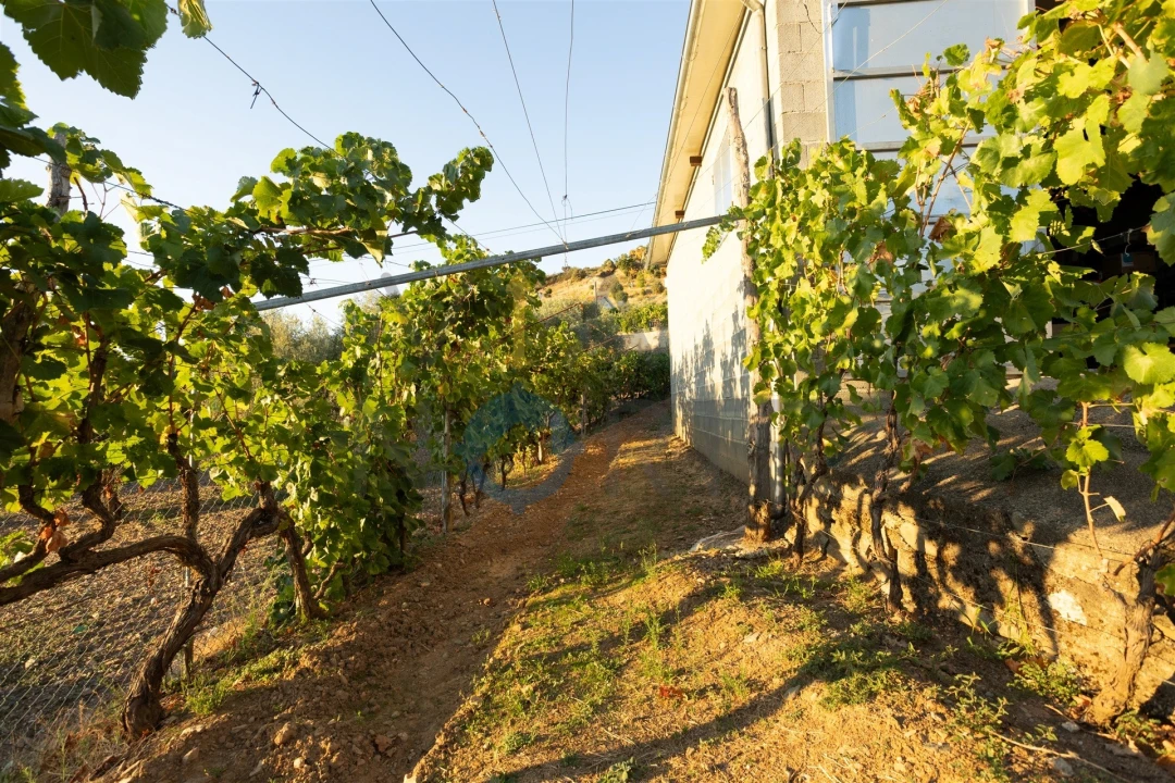 Quinta T1 para Venda em Eucisia, Gouveia e Valverde Foto 28