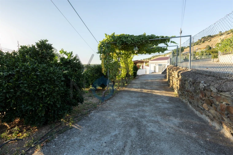 Quinta T1 para Venda em Eucisia, Gouveia e Valverde Foto 4