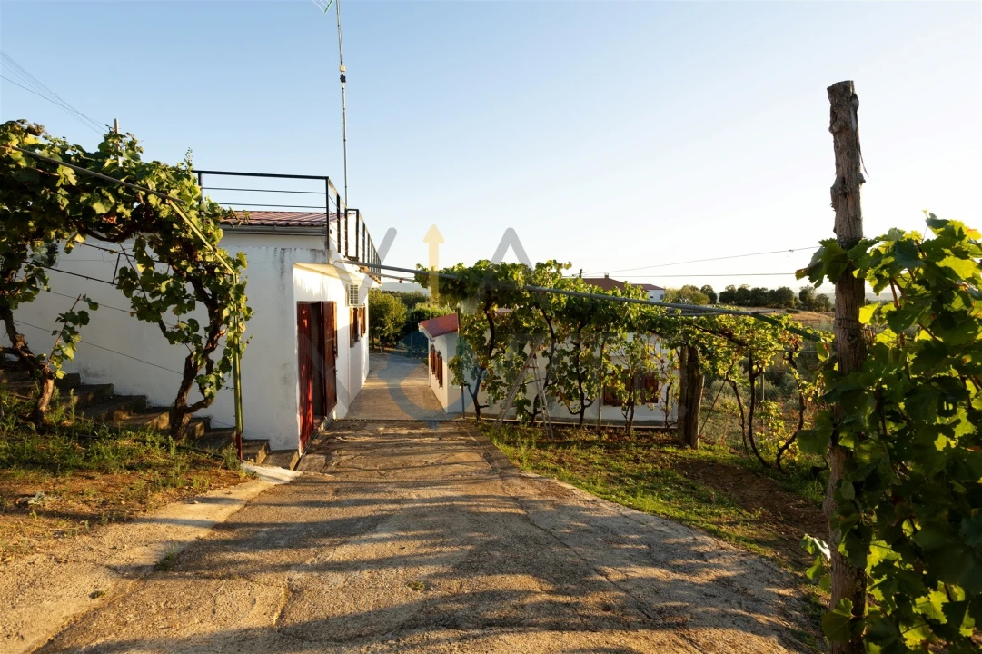 Quinta T1 para Venda em Eucisia, Gouveia e Valverde Foto 27