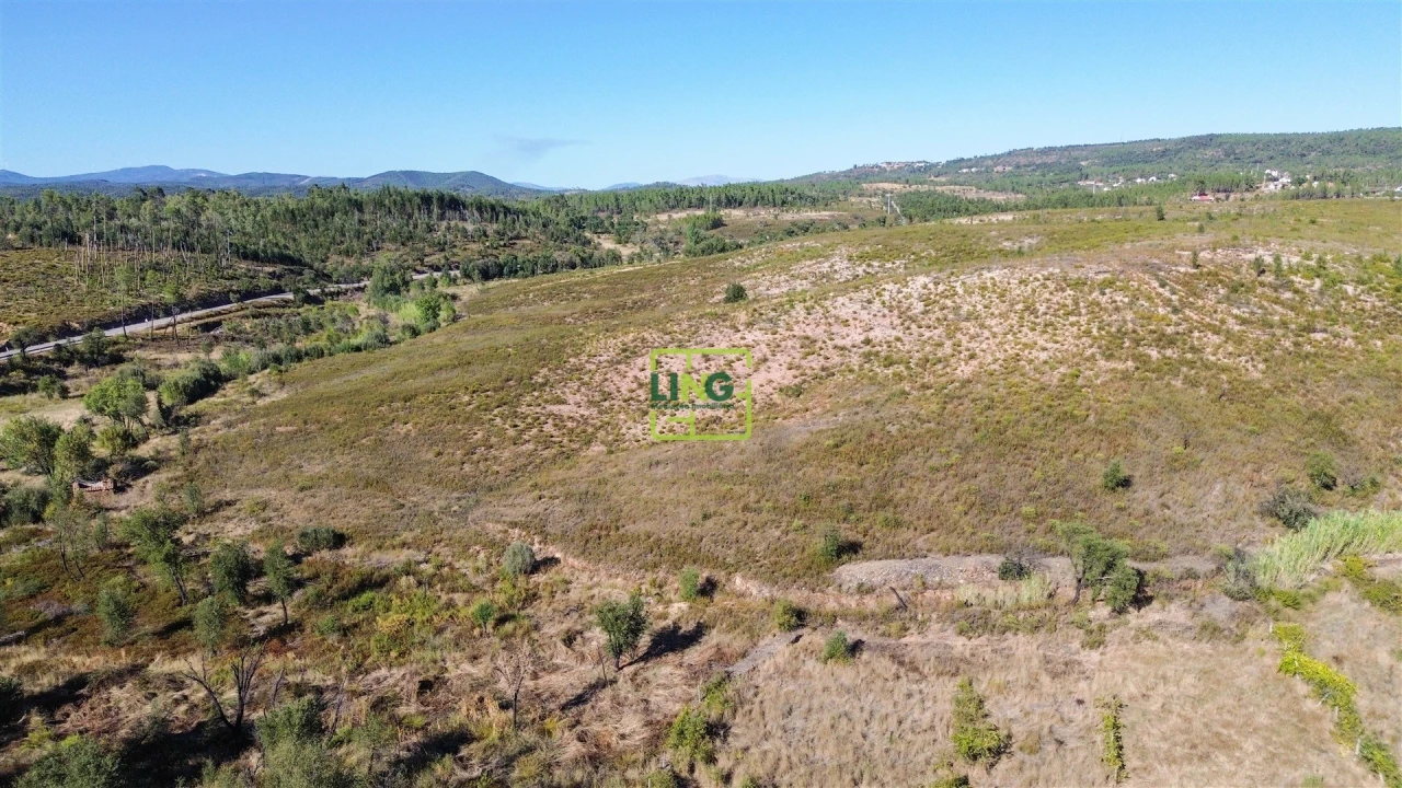 Terreno Agricola ou Rústico para Venda em Santo Andre das Tojeiras Foto 17
