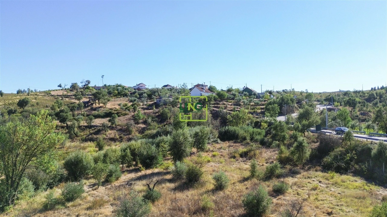 Terreno Agricola ou Rústico para Venda em Santo Andre das Tojeiras Foto 10