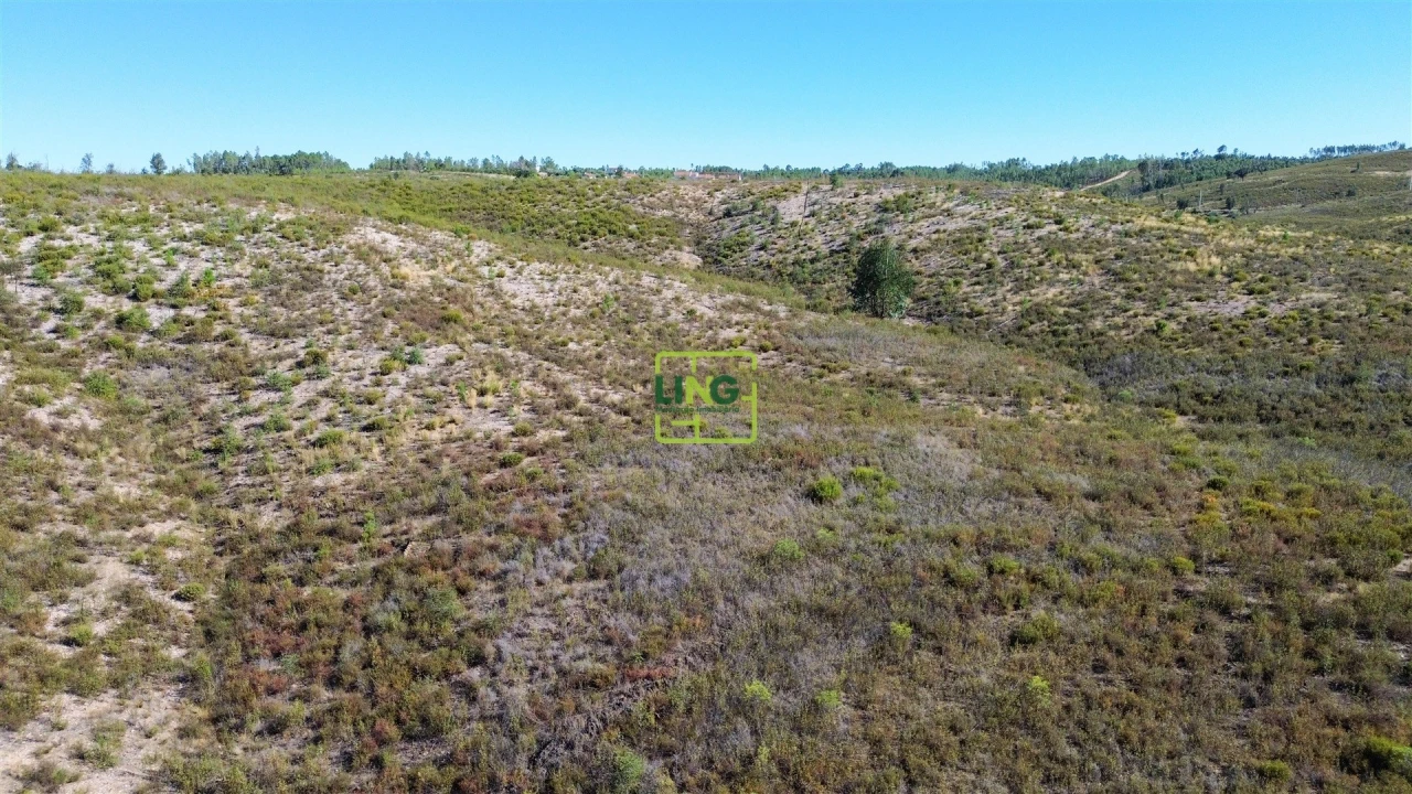 Terreno Agricola ou Rústico para Venda em Santo Andre das Tojeiras Foto 1