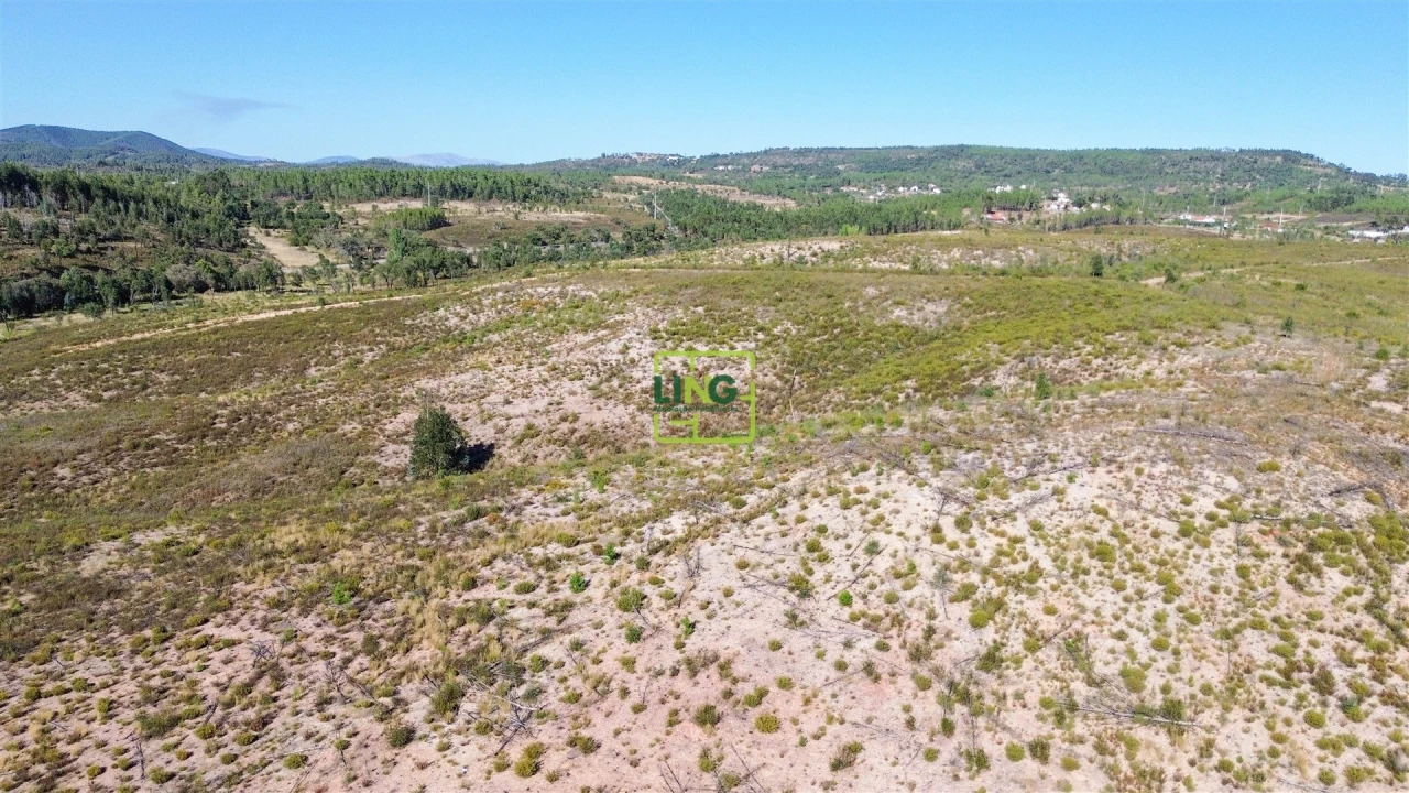 Terreno Agricola ou Rústico para Venda em Santo Andre das Tojeiras Foto 21