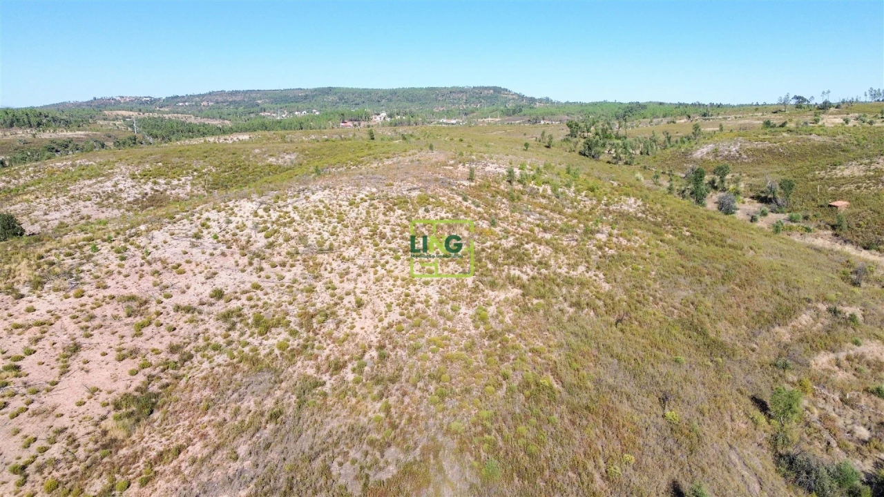 Terreno Agricola ou Rústico para Venda em Santo Andre das Tojeiras Foto 19
