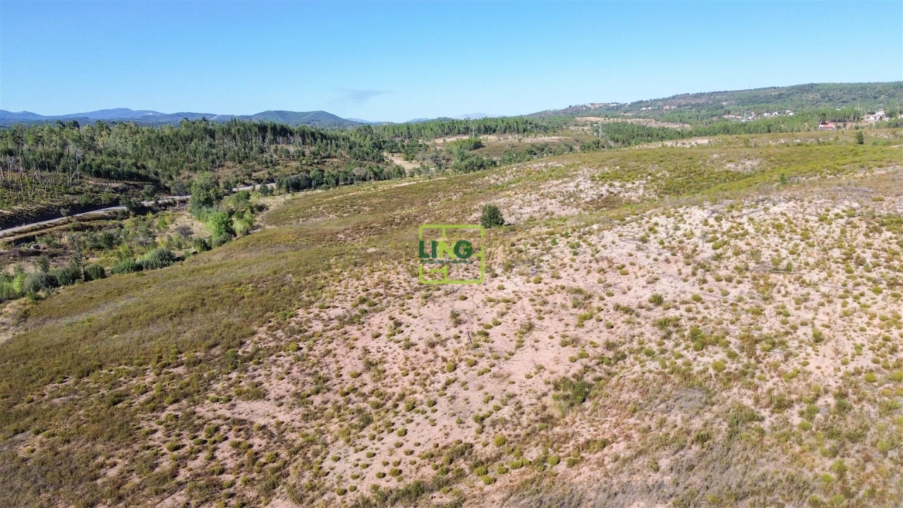 Terreno Agricola ou Rústico para Venda em Santo Andre das Tojeiras Foto 18