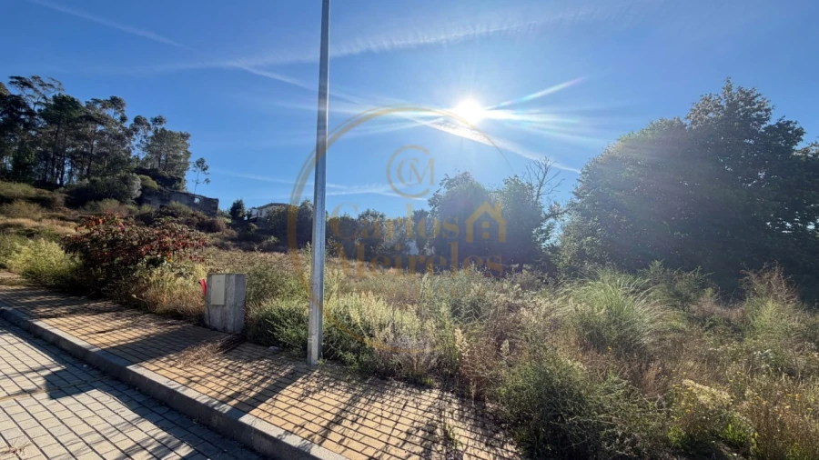 Terreno para Venda em Fornelos e Queijada Foto 3