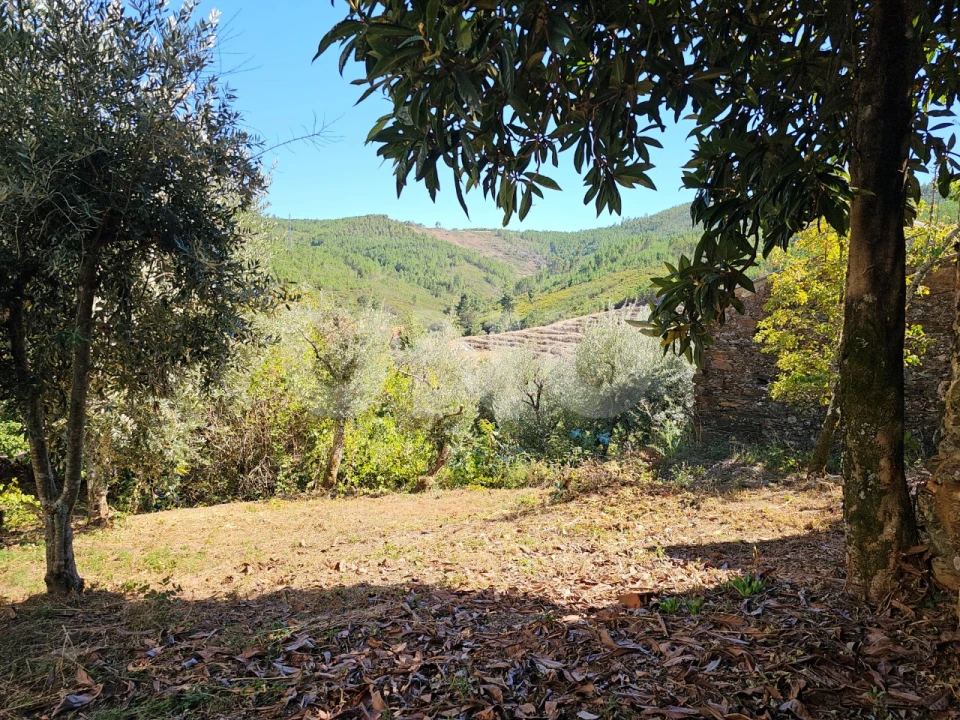 Moradia T3 para Venda em Orvalho Foto 29