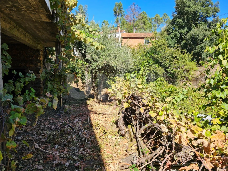Moradia T3 para Venda em Orvalho Foto 33
