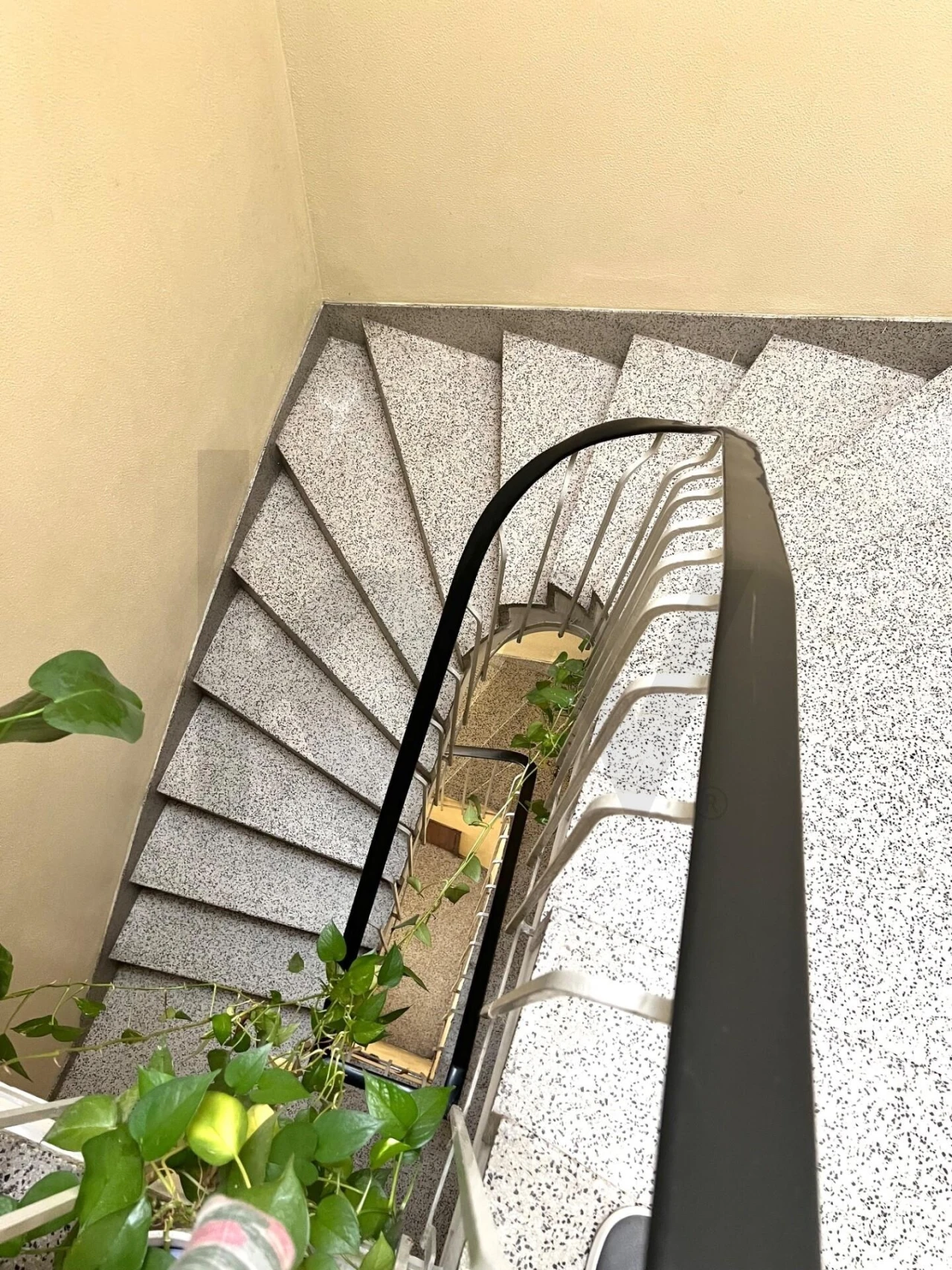 Apartamento T3 para Venda em Campanhã Foto 13