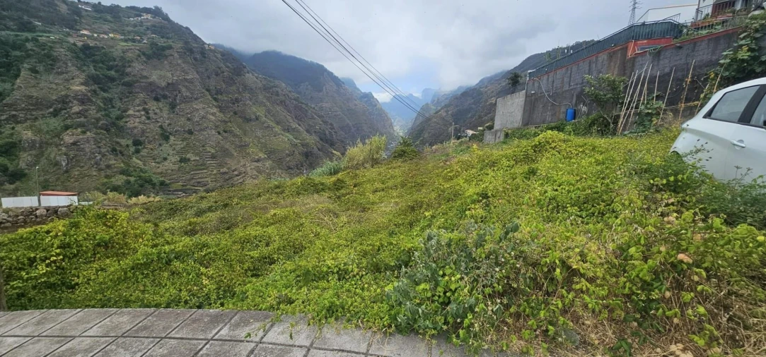 Terreno para Venda em Ribeira Brava Foto 13