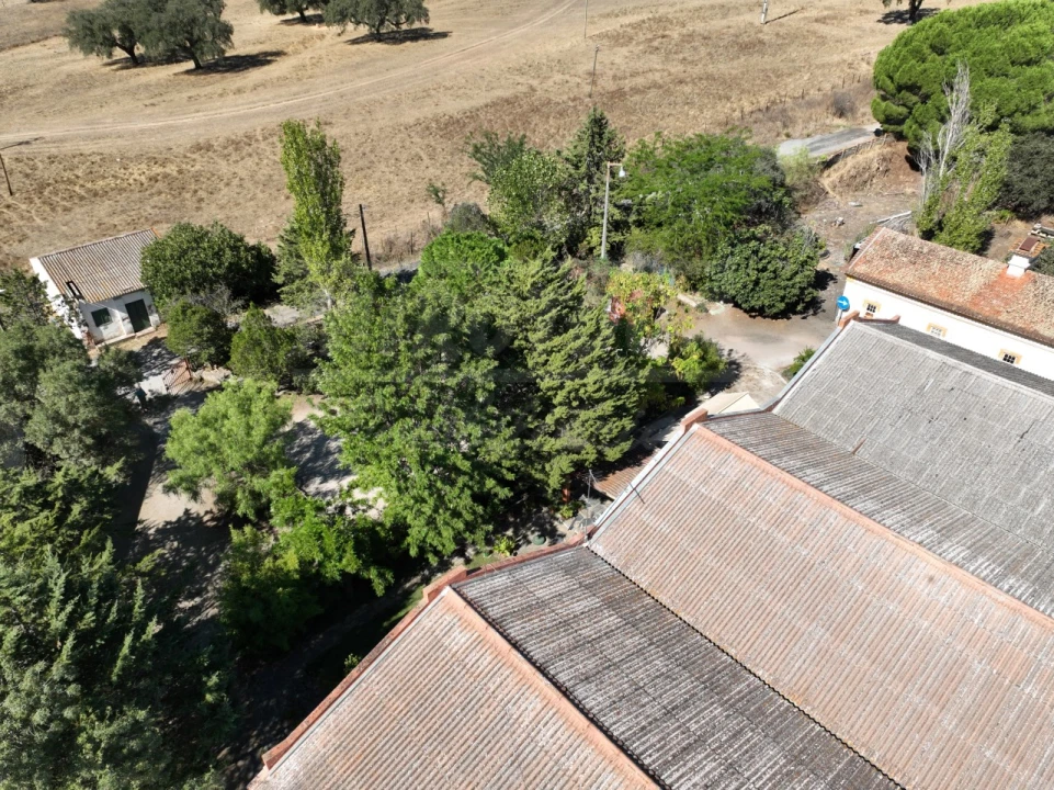 Negócio para Venda em Urra Foto 9