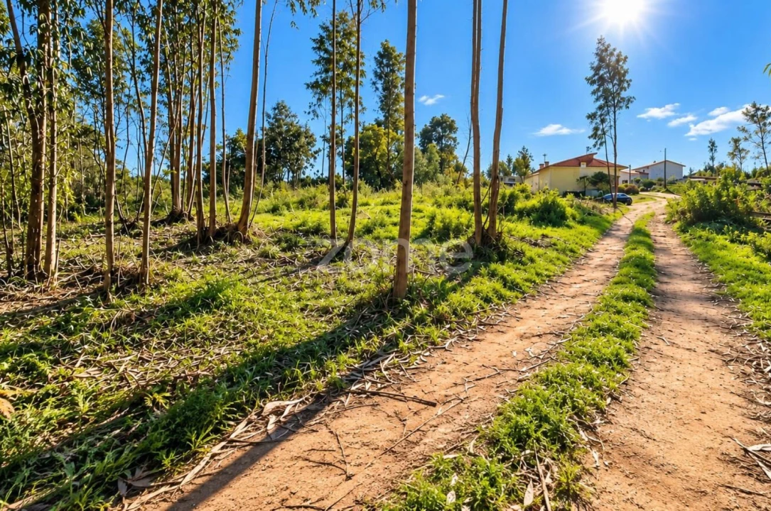 Terreno para Venda em Eiras e São Paulo de Frades Foto 15