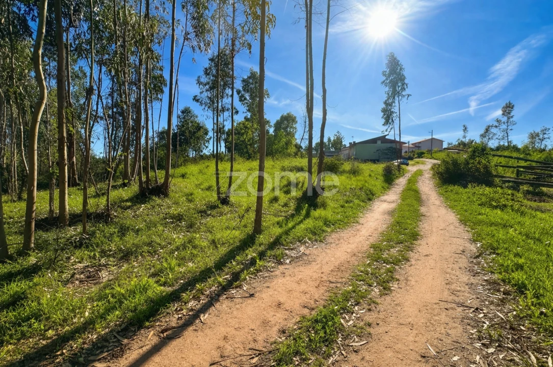 Terreno para Venda em Eiras e São Paulo de Frades Foto 2