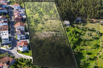 Terreno para Venda em Eiras e São Paulo de Frades